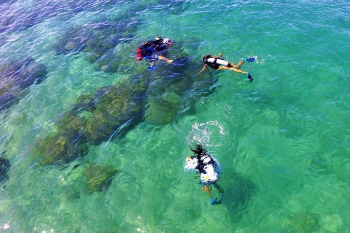 a man swimming in a body of water