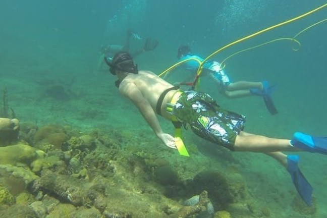 a person swimming in the water